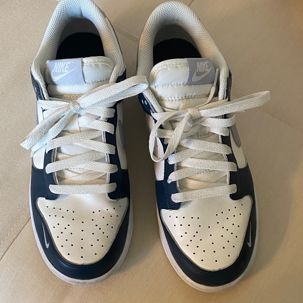 Nike Classic White and Navy and Grey Dunks